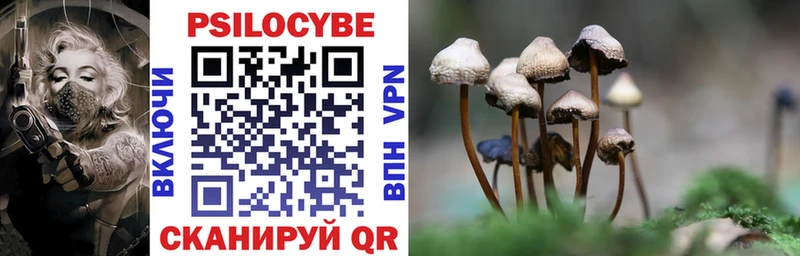 Галлюциногенные грибы Psilocybe  Купить  Сухой Лог 